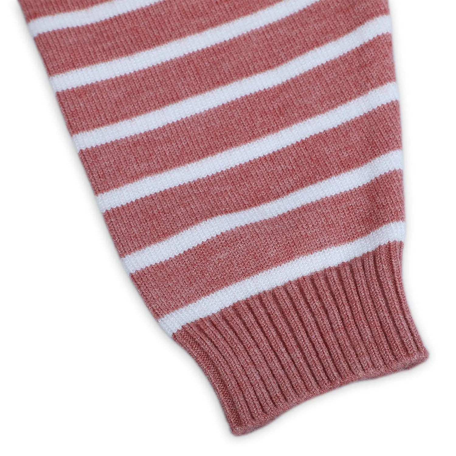 Dashing Dino Striped Premium Full Sleeves Knitted Sweater - Reddish Brown