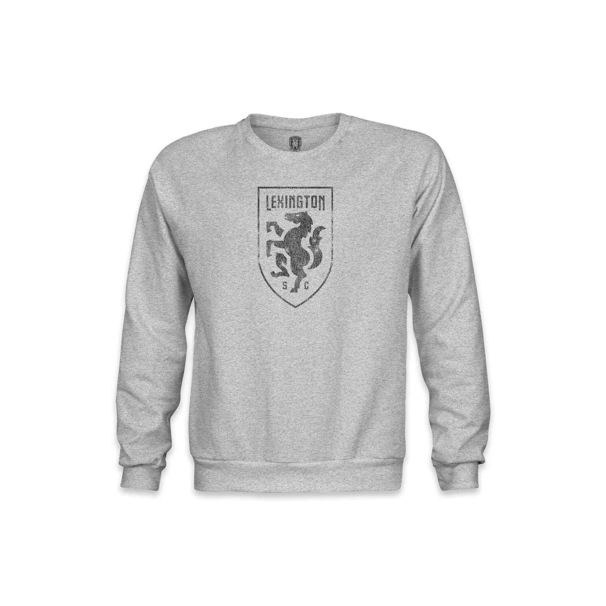 Lexington SC Color Badge Youth Crewneck Sweatshirt - Grey