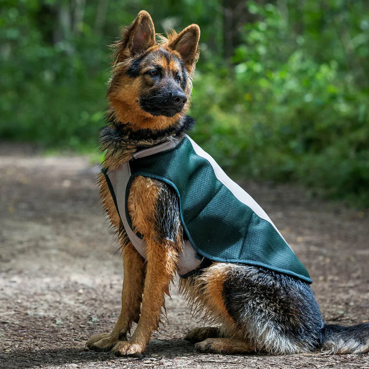 Ruff and Tumble Dog Cooling Coat