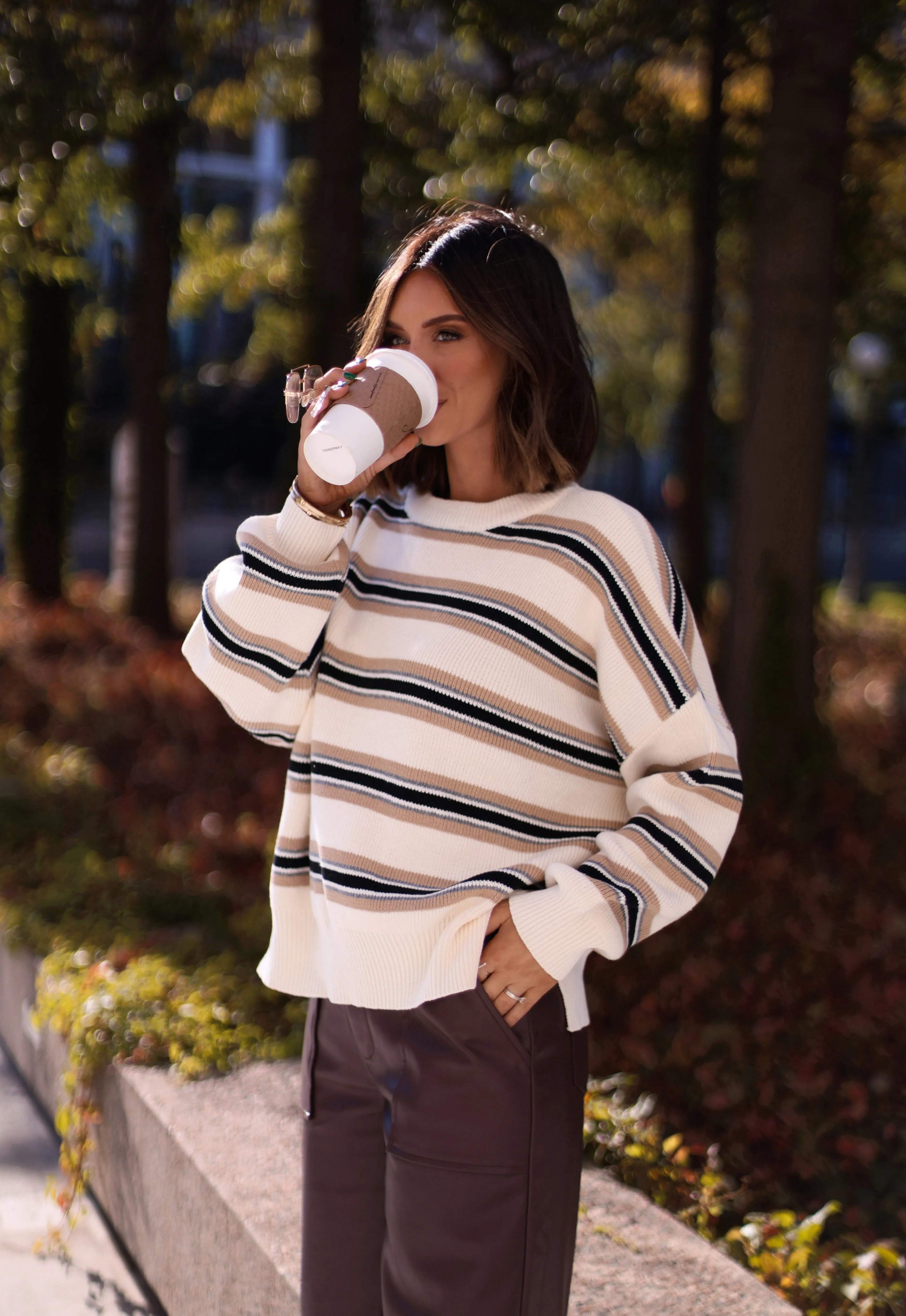 Sierra Striped Sweater